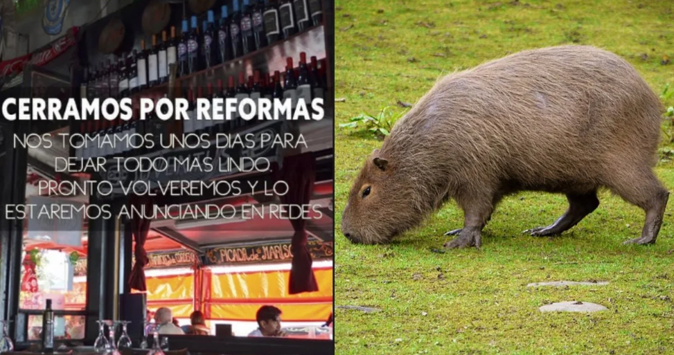 Polémica en La Paternal: restaurante clausurado por vender carne de carpincho alega estar “cerrado por&nbsp;reformas”