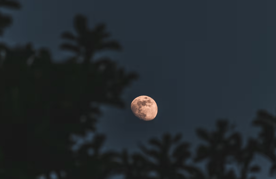 La Superluna brilló con fuerza en el cielo y no habrá otra igual hasta&nbsp;2042