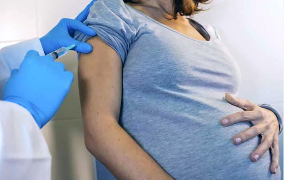 Vacunación materna contra VSR: protege a los&nbsp;bebés