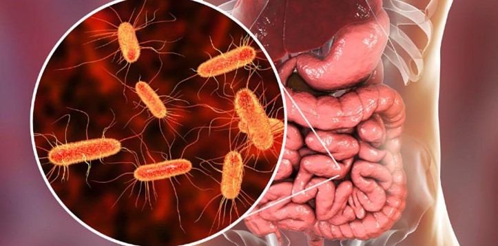 El Síndrome Urémico Hemolítico registró una disminución sostenida en Argentina 