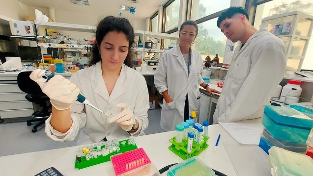 Desarrollan un test rápido para detectar el dengue 