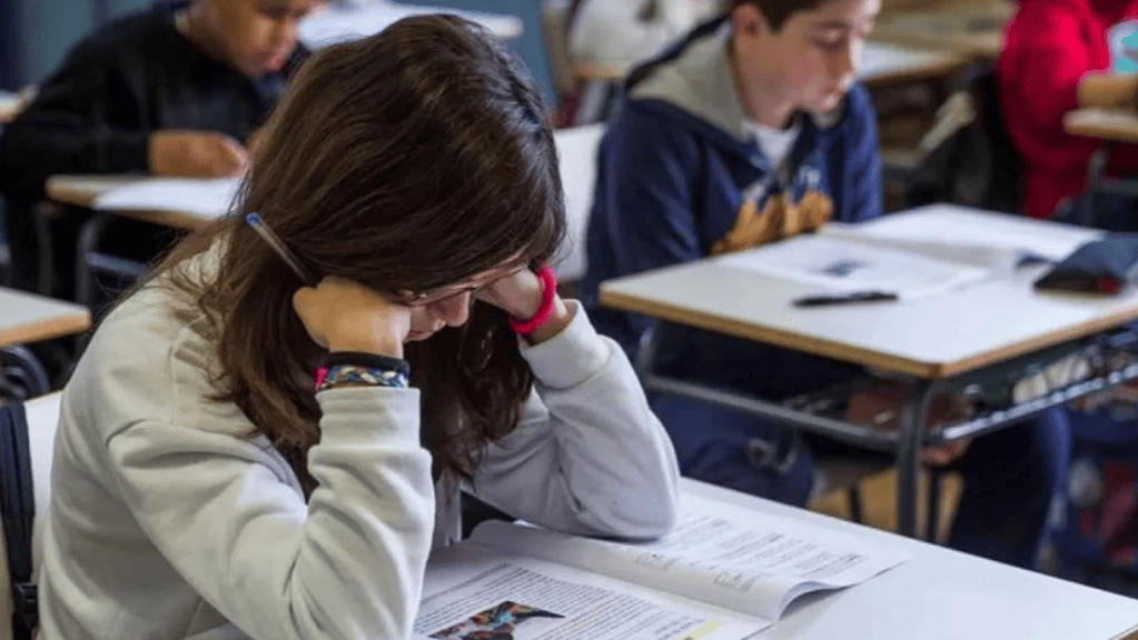Ocho de cada diez estudiantes argentinos no alcanzan el nivel mínimo en Matemática