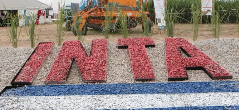 El INTA desarrolló un compost enriquecido con hongos benéficos para cultivos