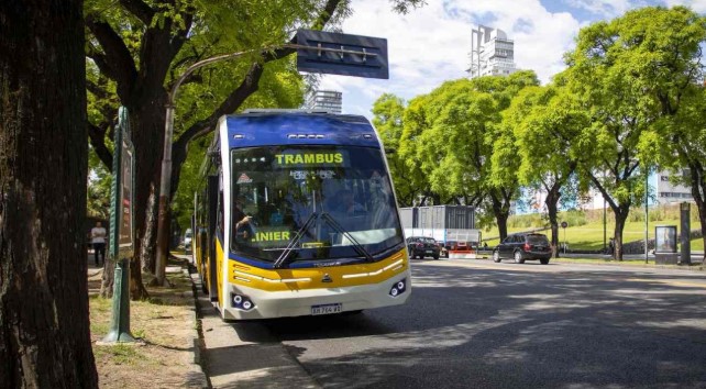 El Trambus modificará el sentido de 18 calles porteñas 